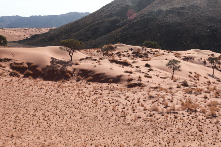 landschaft, toktokkie-trail, namibia, september 2024