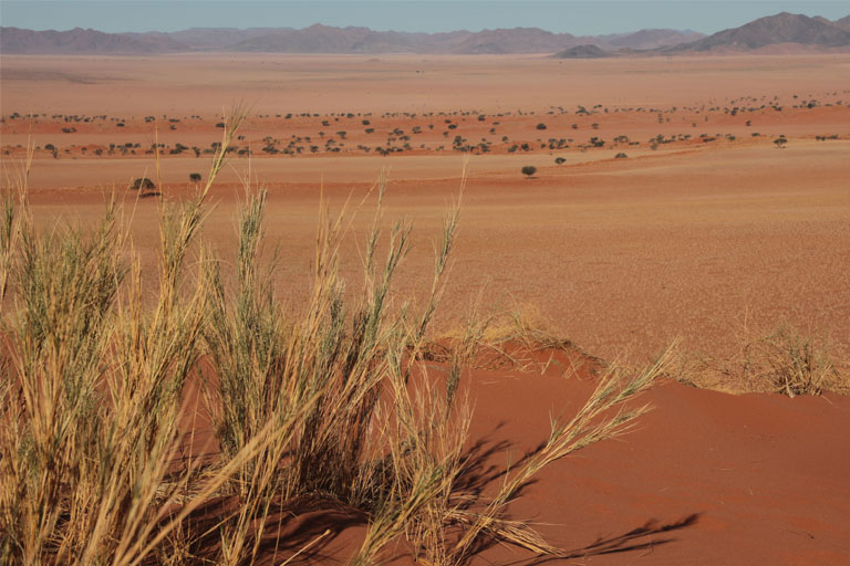 landschaft, toktokkie-trail, namibia, september 2024