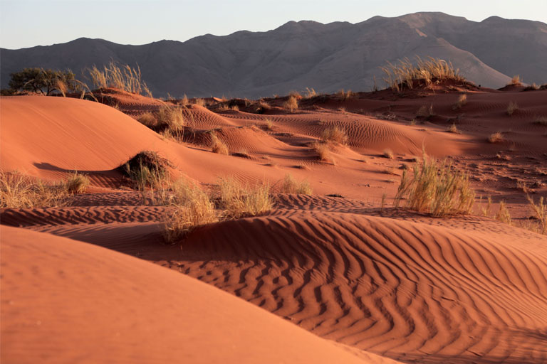 dünenlandschaft, toktokkie-trail, namibia, september 2024