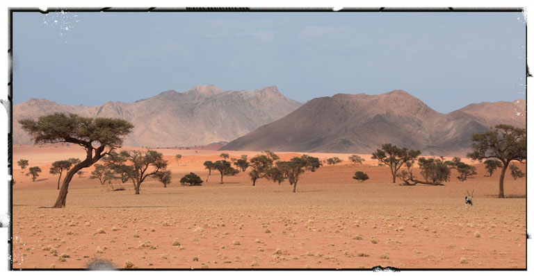 tolle lichtstimmung im namibrand-gebiet, namibia, oktober 2024