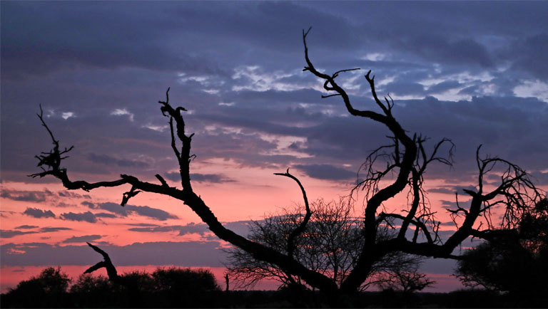 sonnenuntergang in blau und pink auf der jansen farm in der kalahari, namibia, oktober 2024