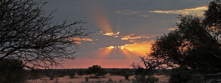 sonnenuntergang auf der jansen farm in der kalahari, namibia, oktober 2024