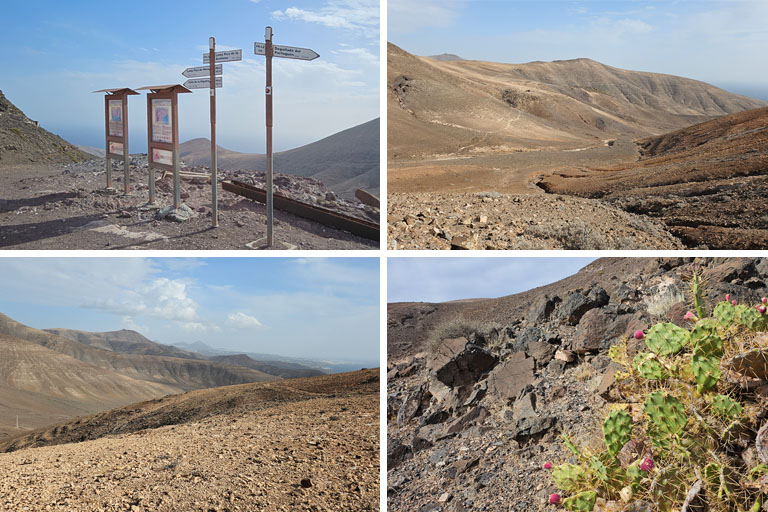 collage, wanderung bei femés, lanzarote, dezember 2024