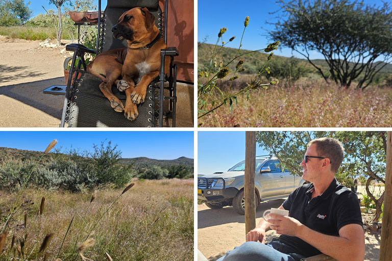 bei markus batz auf glückland - alles voller gras