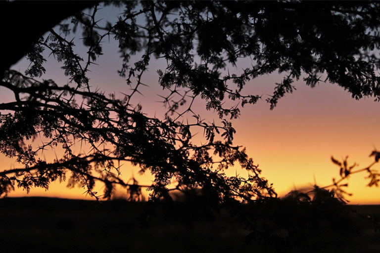 sonnenuntergang in grootkolk, kgalagadi transfrontier park, april 2025