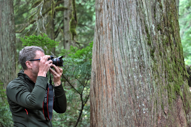 dirk, weitwinkel, giant cedar's boardwalk, revelstoke, kanada, september 2025