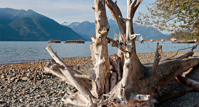 porteau cove, kanada, september 2025
