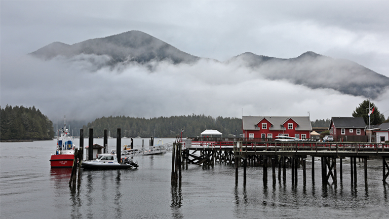 hafen von tofino, vancouver island, kanada, september 2025