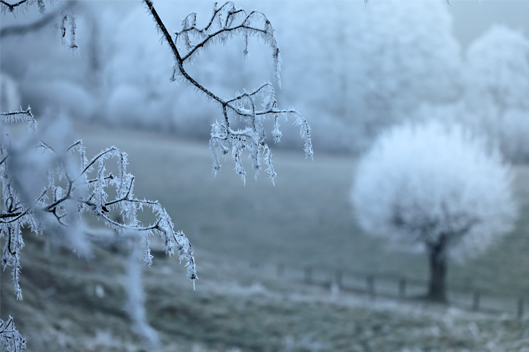 eisige landschaft in gruyeres, schweiz, dezember 2025
