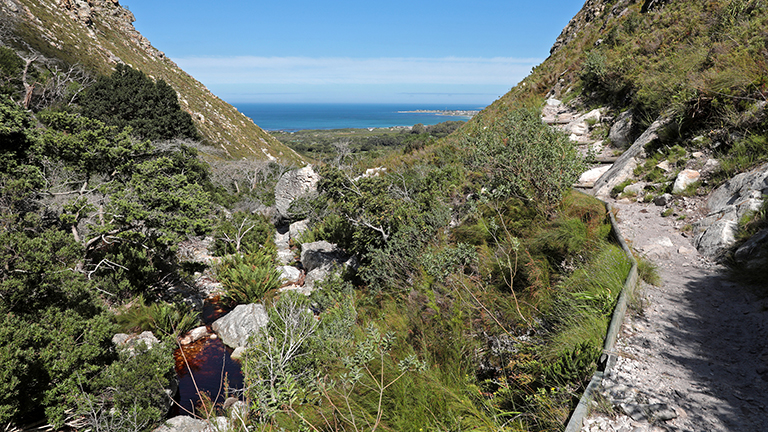 ausblick, harold porter, leopard's kloofsüdafrika, märz 2026