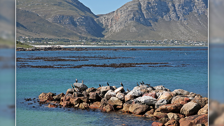 landschaft, stony point, südafrika, märz 2026