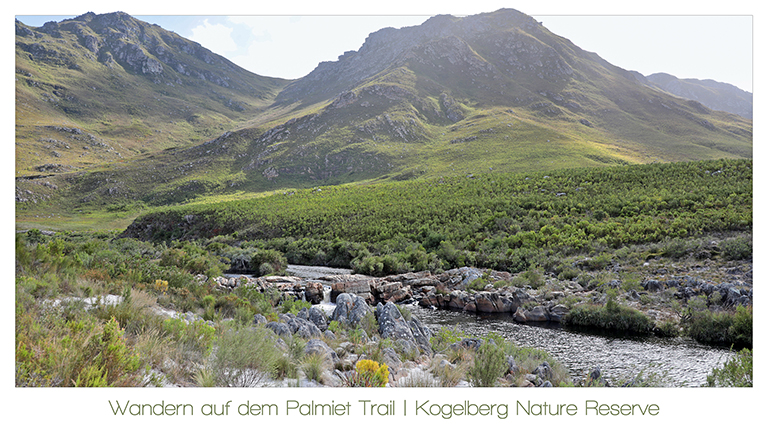 palmiet river trail, kogelberg nature reserve, südafrika, märz 2026