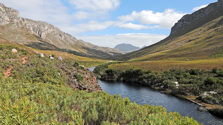 landschaft, palmiet river trail, kogelberg nature reserve, südafrika, märz 2026