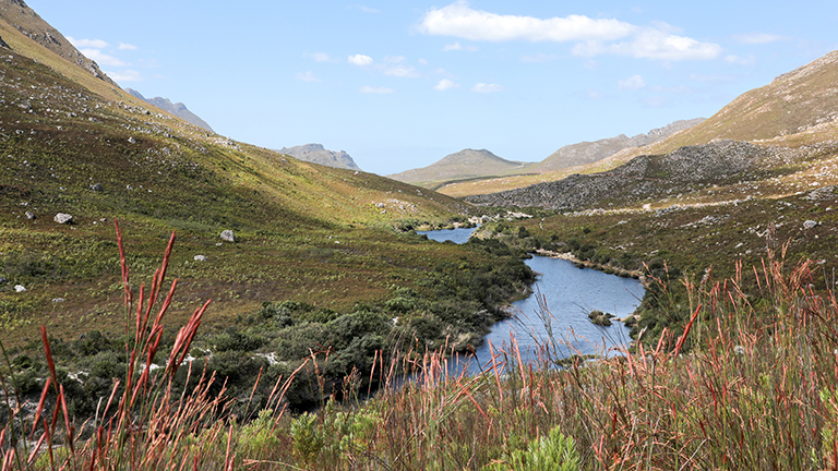 wandern, palmiet river trail, kogelberg nature reserve, südafrika, märz 2026