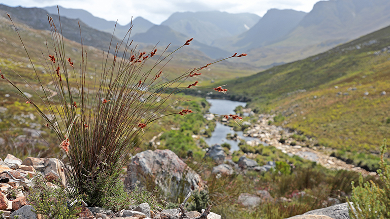 aussicht, palmiet river trail, kogelberg nature reserve, südafrika, märz 2026