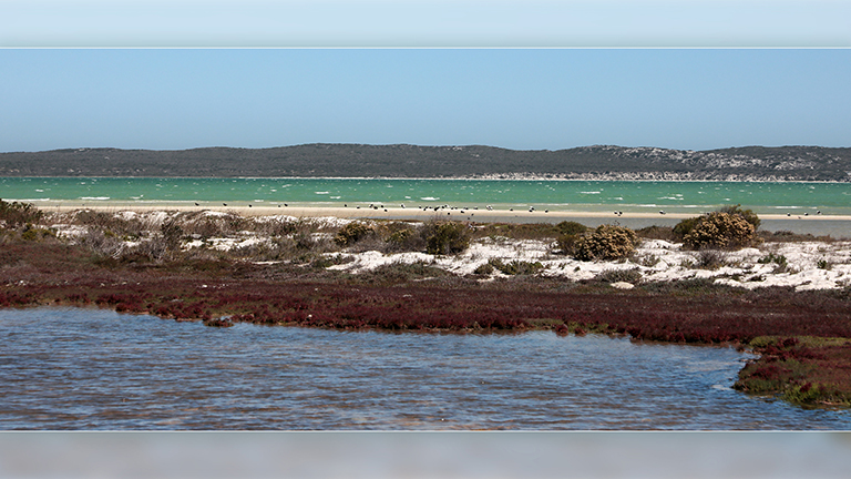farbenspiel im west coast national park, western cape, südafrika, april 2026