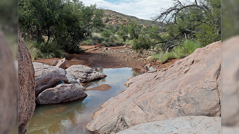 pfützen, nauams campsite #2, namibia, april 2026