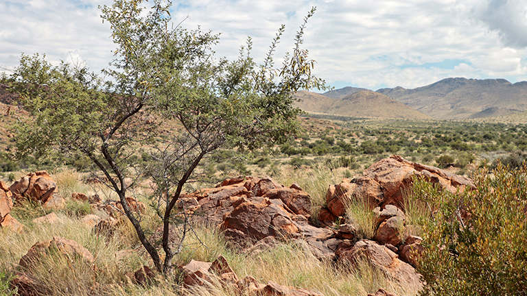 landschaft, nauams campsite #2, namibia, april 2026