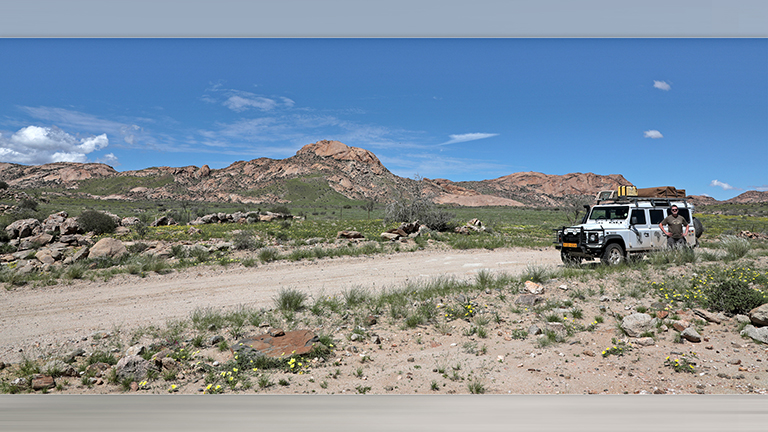 blühende wiesen an der c28, namibia, april 2026