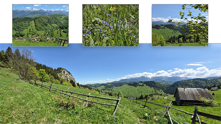 wanderung im bucegi gebirge, collage, rumänien, mai 2024
