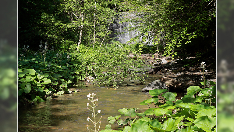 kleiner wasserfall an der transfagarasan, rumänien, mai 2026
